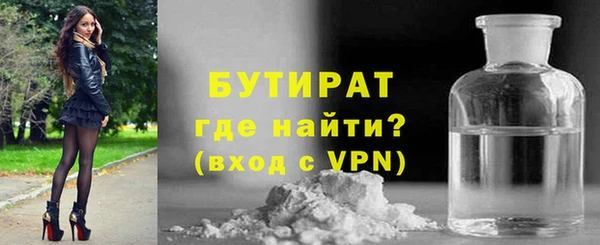 хмурый Аркадак