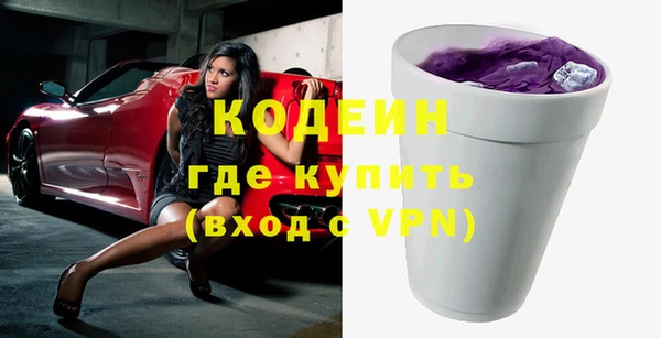 гидра Арсеньев