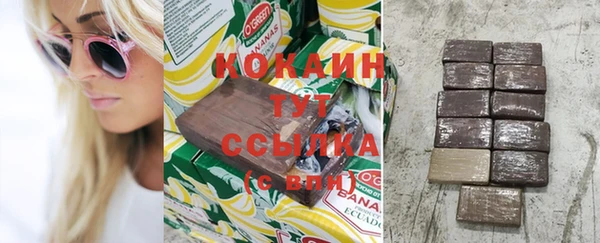 гидра Арсеньев