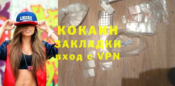 хмурый Аркадак