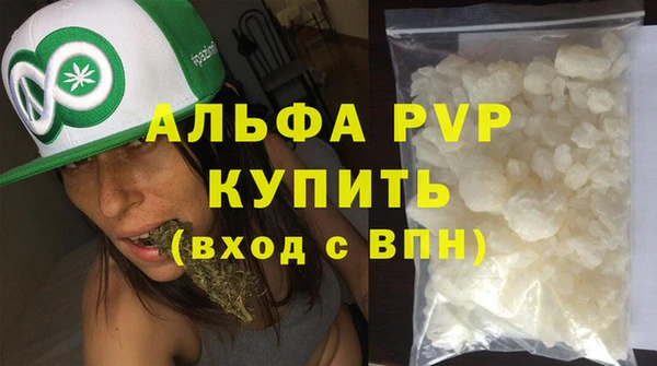 хмурый Аркадак