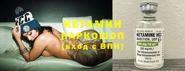 хмурый Аркадак
