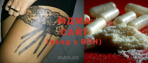 хмурый Аркадак